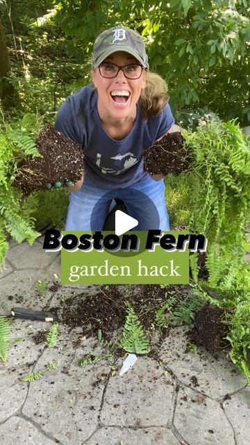 Hooks For Hanging Baskets, Boston Fern Planter Ideas, Fern Planters, Garden Hack, Garden Tricks, Fern Plants, Hanging Ferns, Fern Garden, Potted Ferns