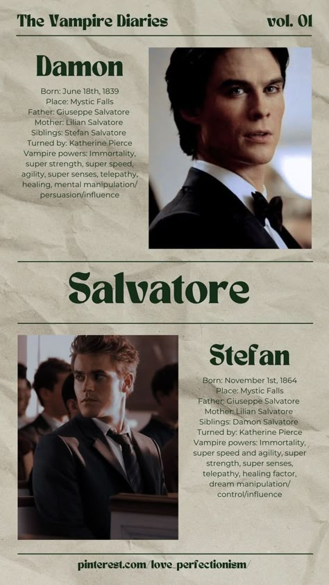 The Vempaier Dairies, Salvatore Brothers Wallpaper, Tvd Salvatore Brothers, Salvator Brothers, Stefan And Damon Salvatore, Damon Salvatore Wallpaper, The Vampire Diaries Wallpaper, Stefan And Damon, The Vampire Diaries Damon