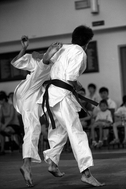 Taekwondo Art, Karate Photos, Karate Tournament, Martial Arts Sparring, Kyokushin Karate, Traditional Martial Arts, Female Martial Artists, Karate Martial Arts, Martial Arts Movies