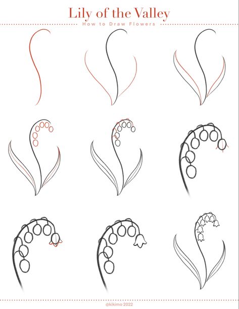 How To Draw Different Flowers Step By Step, Lily Of The Valley Cute Drawing, Flowers Drawing How To, Lily Of The Valley Reference, How To Draw A Lily Of The Valley, How To Draw An Easy Flower, How To Paint Lily Of The Valley, How To Draw Botanicals Step By Step, How To Draw Lily Of The Valley Step By Step