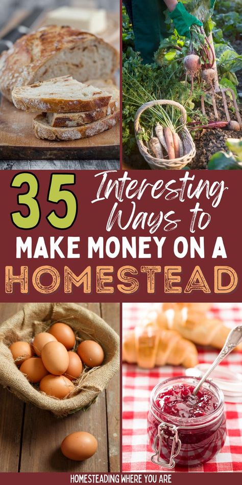 Homesteading can be a profitable journey if you have the right plan to make money on a homestead. There are lots of ways to earn money on a homestead, even a small homestead on an acre or less! These are 35 profitable ideas for making money homesteading. How To Profit From Homesteading, Homestead Items To Sell, Making Money From Homestead, Homesteading Business Ideas, Homestead Money Making Ideas, Food To Sell Ideas Make Money, Homestead Hobbies, Agritourism Ideas, Make Money Homesteading