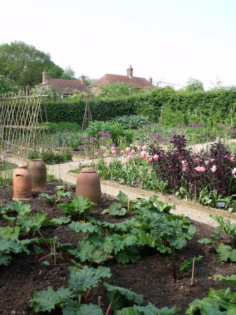 Ask The Expert: Sarah Raven’s 10 Tips for a Kitchen Garden via Gardenista British Vegetable Garden, Sarah Raven Garden, Kendra Wilson, Garden Pathways, Kitchen Gardens, Busy Person, Veg Patch, Sarah Raven, Small Patio Garden