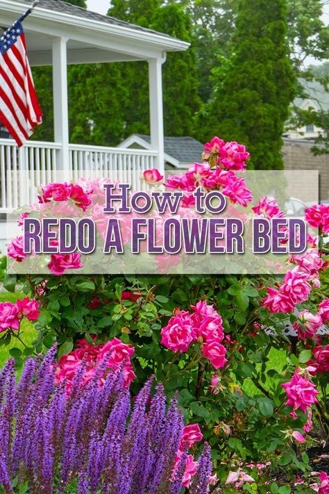 Backyard Flowers Beds, Rose Garden Landscape, Front Porch Flowers, Flower Bed Edging, Front Flower Beds, Raised Flower Beds, Flower Bed Designs, Porch Flowers, Diy Rose