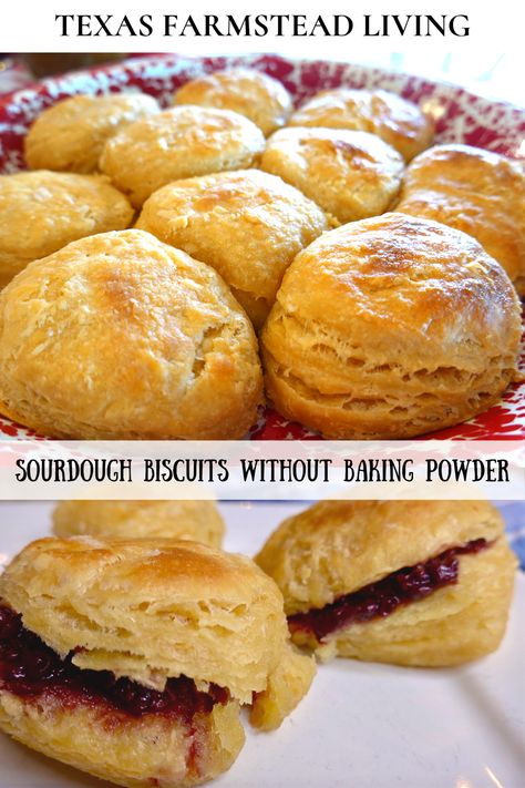 #SOURDOUGHBISCUITS#BISCUITSWITHOUTBAKINGPOWDER #BISCUITS LEARN HOW TO MAKE HOMEMADE SOURDOUGH BISCUITS WITHOUT USING BAKING POWDER OR BAKING SODA. THESE FLAKY MADE FROM SCRATCH BISCUITS ARE LEAVENED WITH SOURDOUGH. IN THIS EASY RECIPE THE BISCUITS ARE MADE IN THE EVENING THEN PUT IN THE REFRIGERATOR OVERNIGHT. IN THE MORNING JUST HEAT THE OVEN AND THE BISCUITS ARE READY TO BAKE FOR BREAKFAST. YOU WILL LOVE THIS RECIPE AND WE ALL NEED TO LEARN TO IMPROVISE AND USE WHAT IS AVAILABLE. BLESSINGS! Overnight Sourdough Biscuits Recipe, Overnight Sourdough Biscuits, Overnight Discard Recipes, Sourdough Buttermilk Biscuits, Sourdough Drop Biscuits, Overnight Sourdough Discard Recipes, Sourdough Discard Biscuits Easy, Biscuits Without Baking Powder, Recipe Using Sourdough Bread