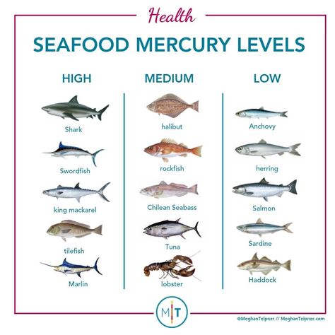 Guide To Eating Fish: Choosing Healthy and Sustainable Options Healthy Fish To Eat, Fish Protein Chart, Different Types Of Fish To Eat, Cold Water Fish To Eat, Fish Types To Eat, Types Of Seafood, Raising Fish For Food, Healthiest Fish To Eat, Types Of Fish To Eat