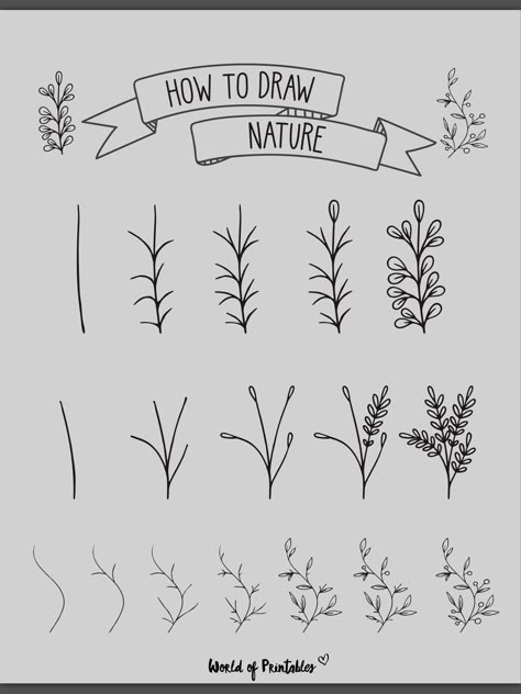 Sketching Flowers For Beginners, How To Draw Wild Flowers, Easy Plant Drawings, Eucalyptus Doodle, Flower Doodles Easy Step By Step, How To Draw Plants, Botanical Line Drawing Step By Step, Wildflower Doodles Simple, Plant Drawings Simple