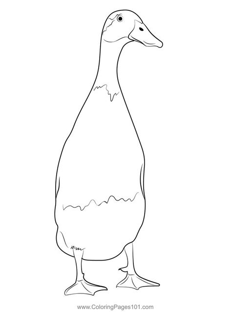 The Runner Duck Coloring Page Mallard Tattoo, Ducks Coloring Pages, Duck Outline, Colour Pictures, Duck Tattoos, Runner Ducks, Shell Painting, Duck Drawing, Line Art Style