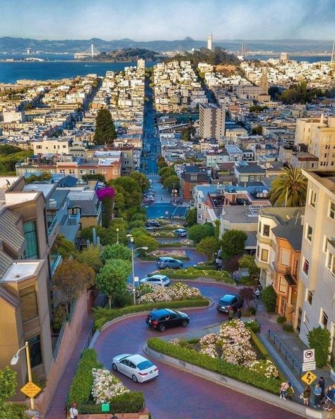 Lombard Street San Francisco, Places In San Francisco, California Pictures, Usa San Francisco, San Francisco Photography, Lombard Street, San Francisco Travel, Instagrammable Places, America Travel