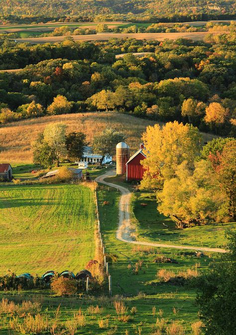 Sunset Farm - Rolling hills of Dubuque County in Northeast Iowa. Iowa Farms, Farm Scene, Country Scenes, Country Side, Back Road, Country Farm, Rolling Hills, Country Road, Country Living