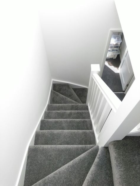 Stairs grey carpet white walls Grey Carpet Upstairs, Gray Carpet White Walls Living Room, Stairs Grey Carpet, Medium Grey Carpet, Grey Carpets For Stairs And Landing, Grey Stair Carpet Ideas, White And Grey Hallway And Stairs, Stairs Ideas Carpet, Grey Carpet Staircase