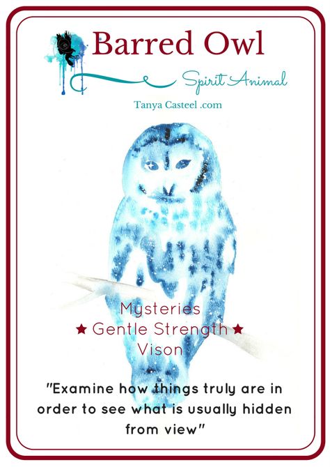 Barred Owl spirit animal symbolism and galaxy watercolor painting. www.tanyacasteel.com Owl Spirit Animal Meaning, Animal Totem Spirit Guides, Animal Symbols, Spirit Animal Meaning, Galaxy Watercolor, Totem Animals, Animal Meanings, Spirit Animal Totem, Animal Reiki