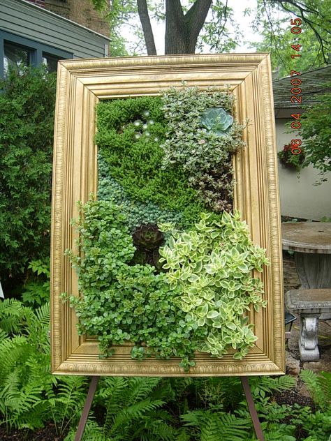 Old picture frame, chicken wire, boxed in the back and attached to an easel. Picture Frames In Garden, Picture Frame Planter Diy, Picture Frame Planter, Chicken Wire Crafts, Succulent Frame, Chicken Wire Frame, Flower Shop Design, Plant Store, Yard Sticks