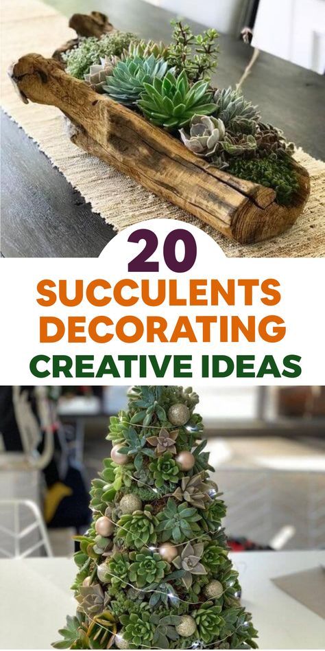 Explore the beauty of succulents by effortlessly incorporating these resilient plants into your home decor. Transform your living space with a touch of greenery and elegance through striking succulent terrariums, cascading wall gardens, and stylish pot displays. Let the simplicity and charm of succulents inspire you to create a serene ambiance that celebrates their unique beauty. Embrace indoor gardening with these creative ideas to bring a modern, fresh vibe to any room. Suculents Ideas Decoration Pots & Planters, Creative Succulent Ideas, Succulent Arrangements Ideas, Fall Succulent Arrangements, Succulent Pot Ideas Diy, Succulent Display Ideas, Terrarium Ideas Unique, Fake Succulents Decor, Small Succulent Garden