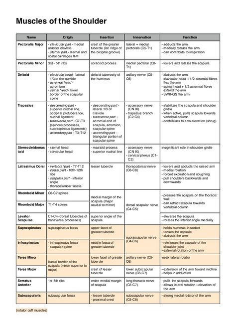 Upper Limb Muscles, Nutrition Nursing, Upper Limb Anatomy, Pectoralis Major, Physical Therapy School, Human Muscle Anatomy, Physical Therapy Student, Remedial Massage, Physical Therapist Assistant