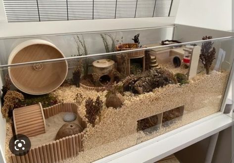 Hamster Cage Design, 75 Gallon Hamster Tank, Proper Hamster Cage, Good Hamster Cage, Hamster Home Ideas, Crochet Hamster House, Hamster Cage Inspiration, Tank Hamster Cage, Syrian Hamster Cage Ideas