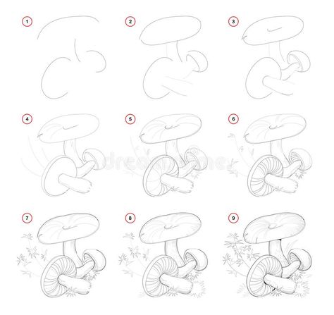 Draw Mushrooms, Pencil Drawings Of Nature, Step By Step Sketches, Easy Sketches, Drawing Guides, Mushroom Drawing, Flower Drawing Tutorials, Nature Sketch, Sketches Tutorial