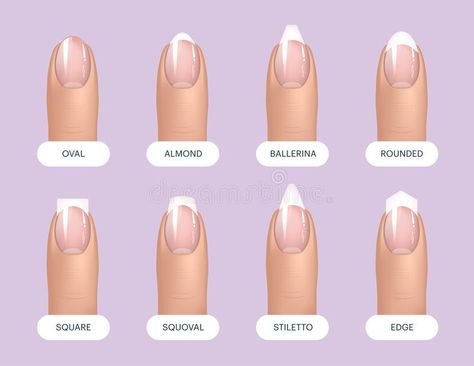 Best Summer Nail Color, Long Almond Nails, Manicured Nails, Natural Manicure, Shapes Vector, Acrylic Nail Shapes, Nail Design Video, Different Nail Shapes, Coffin Shape Nails