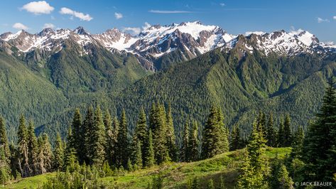 Olympus Mountain, the highest of Greece lies between Larissa Prefecture and Pieria Prefecture, Larissa, Thessaly, Greece Forest Horizontal, Greece Mountains, Olympus Mountain, Olympic Peninsula Washington, Greek Flowers, Olympic National Park Washington, Washington Hikes, Olympic Mountains, Mount Olympus