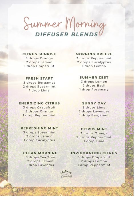 Relaxing Essential Oil Blends Night, Diy Perfumes, Best Smelling Essential Oils, Essential Oil Spray Recipes, Summer Diffuser Blends, Summer Essential Oils, Essential Oil Roller Bottle Recipes, Fitness Books, Essential Oil Reed Diffuser