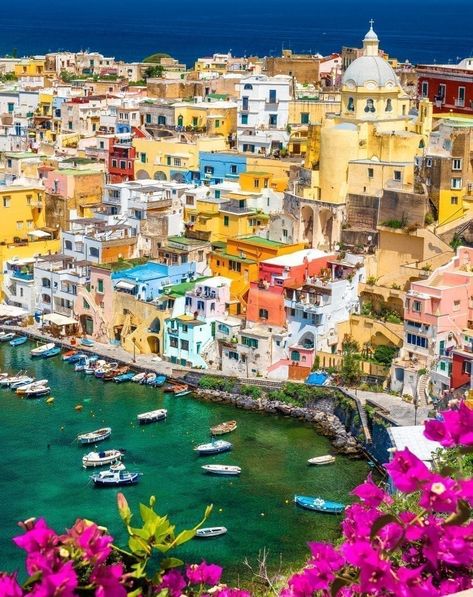 Satellite Island, Procida Italy, Sorrento Italy, Oceania Travel, Colorful Places, Positano Italy, Places In Italy, Southern Italy, Beautiful Places In The World