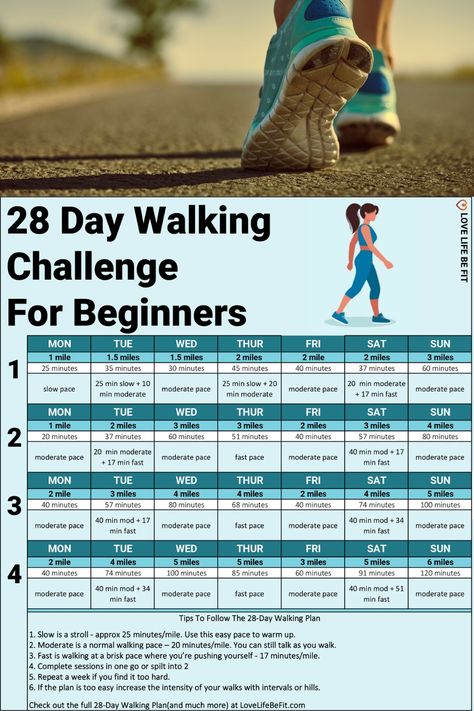 28 Day Walking Plan For weight Loss 28 Day Walking Challenge, Walking Challenge For Beginners, Walking Exercise Plan, Vinegar Benefits, Walking Challenge, Walking Plan, Lose Lower Belly Fat, Exercise Plan, Walking Exercise