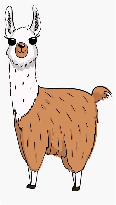 Llama Cartoon, Llama Images, Llama Drawing, Llama Pictures, Llama Clipart, Cartoon Llama, Elsa Coloring Pages, Transparent Clipart, Animal Pins