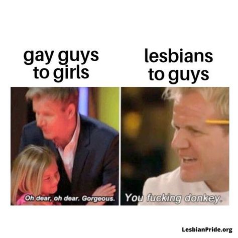 LGBTQ+ Lgbt Quotes, Lgbtq Quotes, Lgbt Humor, Lgbt Memes, Lgbtq Funny, Gay Humor, Gay Memes, Internet Funny, Really Funny Memes