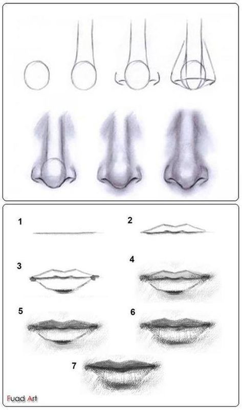 How to draw realistic looking noses and lips Lips Sketch, Draw Lips, Realistic Eye Drawing, Lip Drawing, Draw Realistic, Mouth Drawing, Eye Drawing Tutorials, Drawing Tutorial Face, Nose Drawing