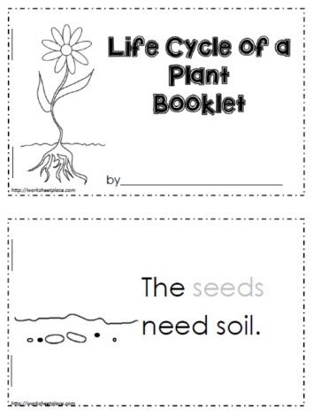 Plant Life Cycles, Plant Life Cycle Worksheet, Life Cycles Preschool, Flower Life Cycle, Plants Kindergarten, Plant Lessons, Plants Worksheets, Pre-k Science, Life Cycle Craft