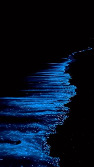 Bioluminescence Beach Aesthetic, Bioluminescence Water, Bioluminescence Beach, Beautiful Heart Pictures, Bioluminescent Plankton, Sea Of Stars, Beach Video, Pretty Backgrounds, Beautiful Locations Nature