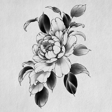 Peonie Tattoo Designs, Blackwork Peony Tattoo, Peony Floral Tattoo, Peony Reference, Peony Tattoo Design, Japanese Peony Tattoo, Tattoo Japonais, Men Flower Tattoo, Peony Flower Tattoos