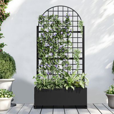 Outdoor Wall Flower Planters, Plant Wall Outside Patio, Backyard Planter Boxes, Outdoor Ivy Wall, Privacy Planters For Patio, Planter Box Trellis, Free Standing Trellis, Modern Trellis Design, Black Trellis