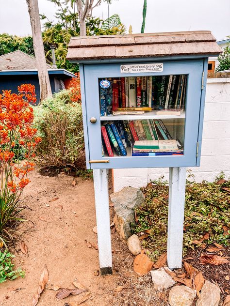 Neighborhood library - leave a book, take a book Take A Book Leave A Book Library, Neighborhood Library, The Obsession, Book Library, Little Library, A Color, Pretty Good, A Book, This Summer