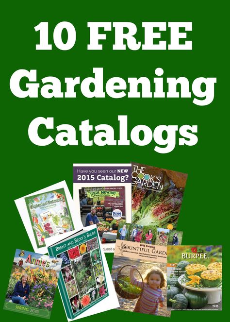 10 Free Gardening Catalogs to plan and enjoy for your upcoming garden. The winter months are a great time to let your imagination go wild! #gardening #catalog #garden #seeds #planting #gardenplan Companion Planting Guide, Companion Planting Chart, Garden Catalogs, Filling Food, Better Homes And Garden, Planner Printables Free, Easy Plants, Fruit Garden, Garden Pests