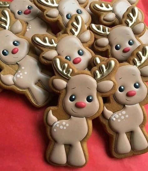 Gingerbread House Ideas, Christmas Sugar Cookies Decorated, Cute Christmas Cookies, The Best Dessert, Sugar Cookie Royal Icing, Sugar Cookie Designs, Cookie Frosting, Xmas Cookies, Creative Cookies