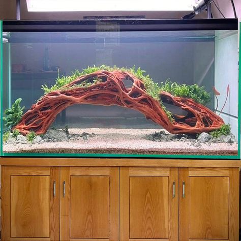 Tree Aquascape, Aquarium Bonsai, Driftwood Tree, Bonsai Making, Aquatic Pets, Fish Tank Decor, Crooked Tree, Aquarium Driftwood, Wood Stumps