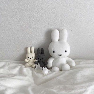 Miffy Stuff, Miffy Aesthetic, Gray Wallpapers, Desain Signage, Cream Aesthetic, Gray Aesthetic, Korean Aesthetic, Japanese Aesthetic, Black And White Aesthetic