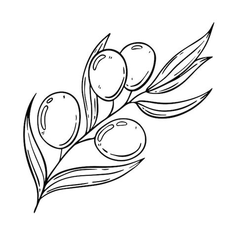 Premium Vector | Olive branch with olives doodle linear Olive Doodle, Olive Branch Drawing, Olive Cartoon, Branch Drawing, Pen Sketches, Class Rules, Baby Room Inspiration, Pen Sketch, Tree Drawing