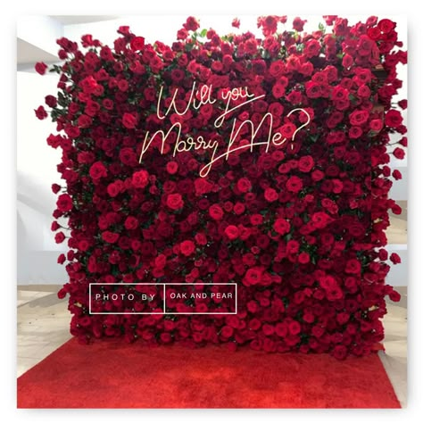 Wedding Proposal Ideas Engagement, Red Rose Arrangements, Beauty And Beast Wedding, Magenta Wedding, Booth Decor, Flower Wall Backdrop, Event Backdrop, Wedding Proposals, Rose Arrangements