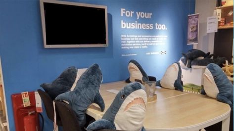 Silly Sharks, Ikea Shark, Shark Plush, Funny Poses, Reaction Pics, Cute Stuffed Animals, Blue Hues, Reaction Pictures, Stuffed Animals