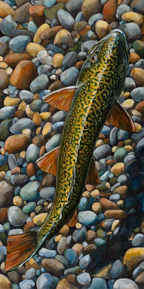 Salmon Animal, Watercolor Salmon, Fish Rugs, Trout Painting, Fish Paintings, Trout Art, Fly Fishing Art, Fishing Art, Artist Prints