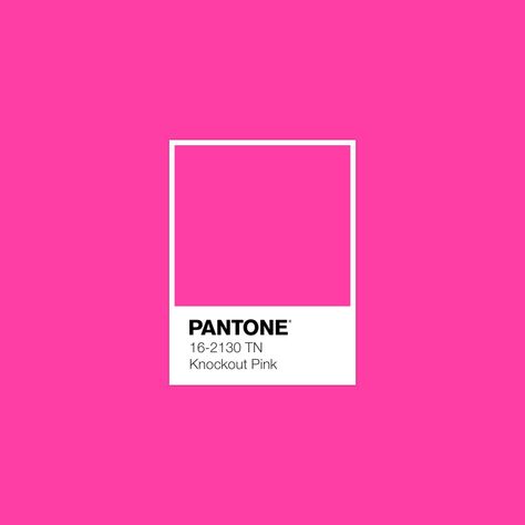 Paint Colors Pink, Hot Pink Room, Pink Pantone, Purple Colour Shades, Pink Paint Colors, Pink Wallpapers, Pantone Colour Palettes, Vestidos Color Rosa, Fluorescent Colors