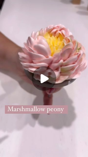 Zhanna Kazantseva  Marshmallow flowers artists  Online classes on Instagram: "Marshmallow peony my passion, my love❤️" Marshmallow Bouquet Diy, Marshmallow Flowers Recipe, Zefir Marshmallow Flowers Recipe, Zefir Marshmallow Flowers, Marshmallow Flowers How To Make, Meringue Flowers, Marshmallow Flower Cupcakes, Marshmallow Flower, Buttercream Piping