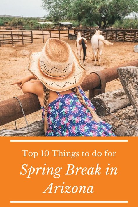 Oct 24, 2020 - Headed to Arizona for spring break training? Check out the Top 10 Things to Do for a Spring Break Arizona style. There is a ton of fun things to do! Arizona Spring Break, Spring Break With Kids, Spring Training Arizona, Mexico Spring Break, Phoenix Travel Guide, Road Trip Scavenger Hunt, Things To Do In Arizona, Phoenix Travel, Family Spring Break