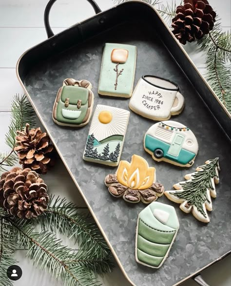 Picnic Cookies Decorated, Hiking Cookies, Camping Cookies, Camping Theme Birthday, Royal Iced Cookies, Summer Cookies, Sugar Cookie Designs, Camping Birthday, Pretty Cookies