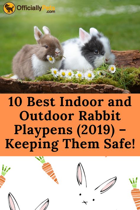 10 Best Indoor and Outdoor Rabbit Playpens (2019) - Keeping Them Safe! | Looking for the best indoor or outdoor rabbit playpen? Check out these 10 rabbit playpens which allow your rabbit to roam safely, indoors or outside! Rabbit Playpen, Outdoor Rabbit, Bunny Hutch, Indoor Rabbit, Pet Playpen, Pet Tips, Pet Care Tips, Pet Hacks, Pet Training