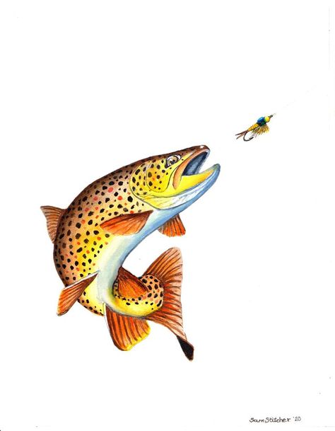 Brown trout chasing a Copper John fly. 11x14 watercolor painting Brown Trout Watercolor, Trout Painting Acrylic Easy, Steelhead Trout Tattoo, Brown Trout Drawing, Brown Trout Painting, Rainbow Trout Illustration, Brown Trout Art, Trout Drawing, Trout Illustration