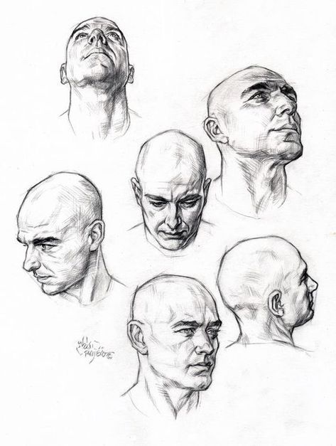 Drawing The Human Head, 얼굴 드로잉, 얼굴 그리기, Human Figure Drawing, Head And Shoulders, Face Drawing Reference, Human Anatomy Art, Drawing Heads, Anatomy Sketches