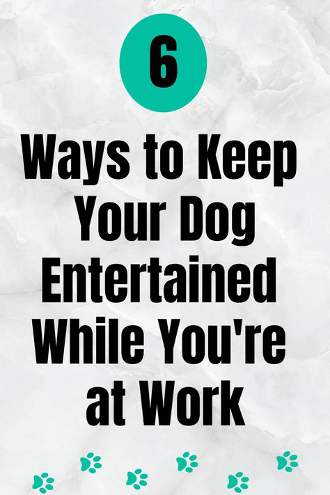 6 Ways to Keep Your Dog Entertained While at Work How To Occupy Your Dog, Tips For Dog Owners, Dog Schedule For Working Owners, Dog Obedience Training At Home, Dog Boredom Busters While At Work, Keep Puppy Busy While At Work, How To Keep Your Dog Entertained, Ways To Keep Your Dog Entertained, Dog Entertainment Ideas