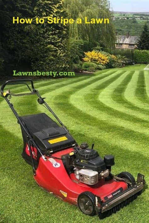 Stripes makes a lawn to look more beautiful. This guide explains how you can stripe your lawn with or without a roller Lawn Striping Kits, Lawn Striping, Riding Lawnmower, All Love, Step By Step Guide, Lawn Care, Landscaping Ideas, Lawn Mower, Step Guide